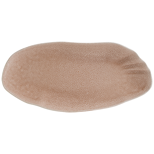 The Shell - Plates Collection - LUMINA ELIGMA HOME