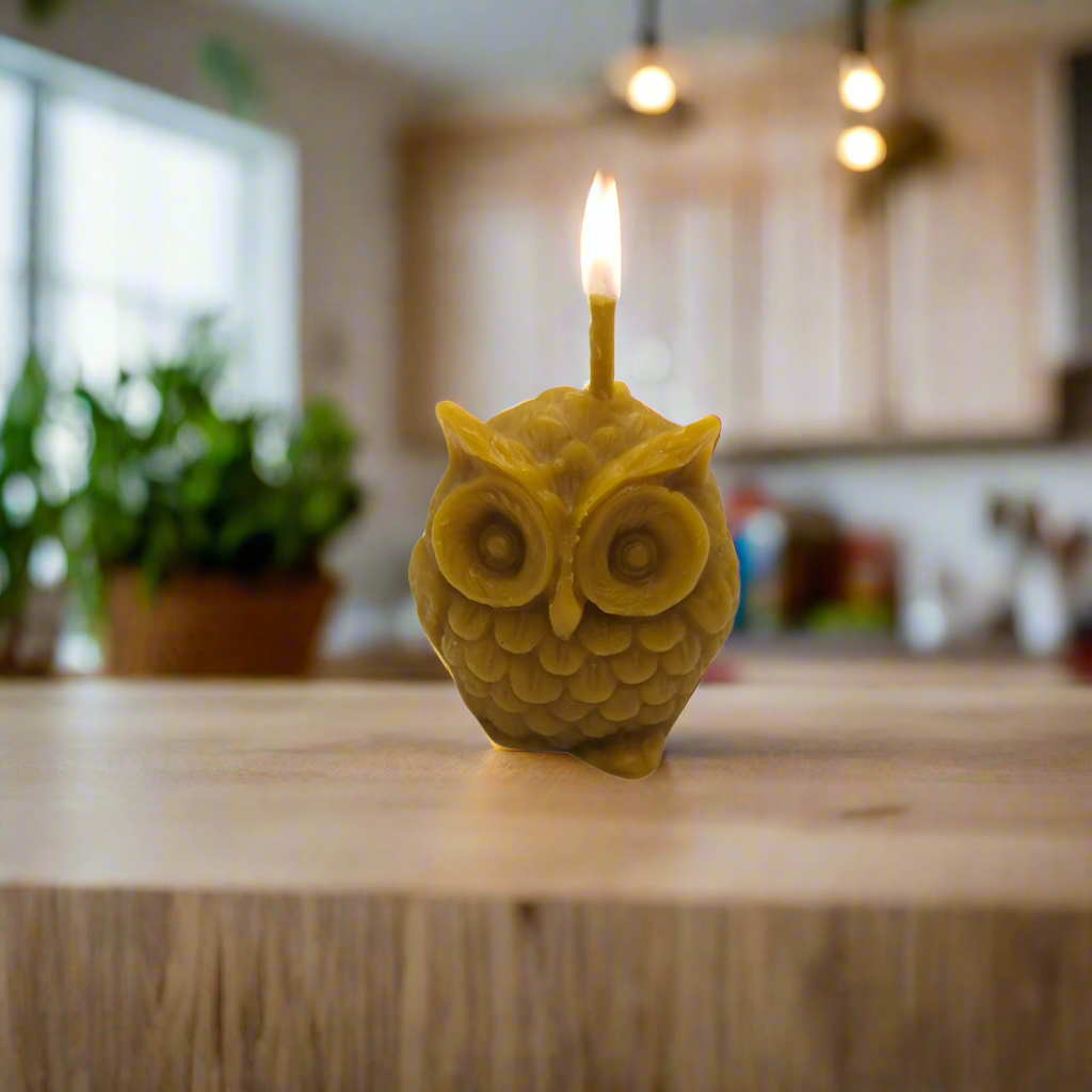 Natural Beeswax Owl Candle